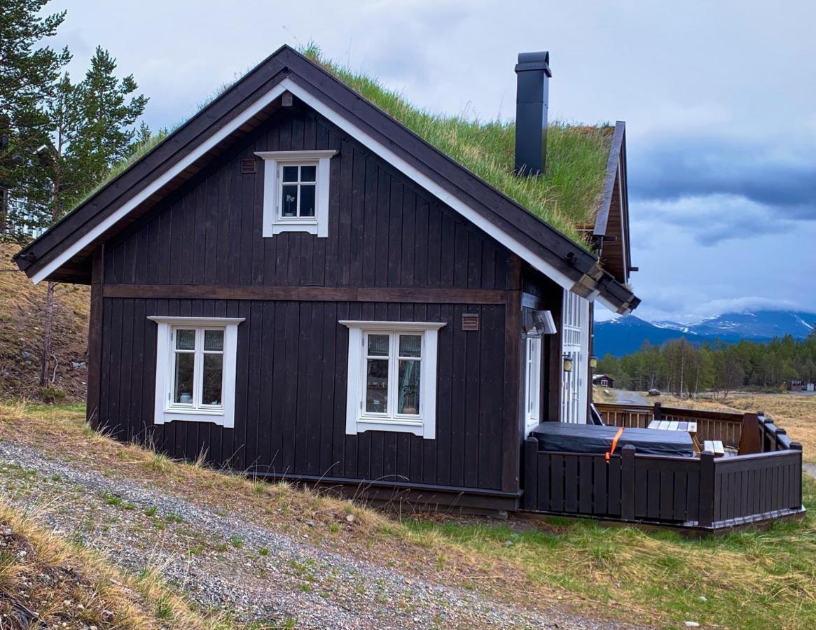 Lemonsjoen-Jotunheimen-Besseggen Villa Stuttgongfossen Exteriör bild