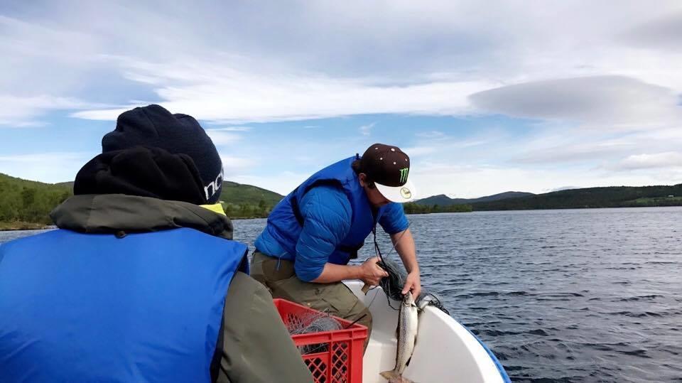 Lemonsjoen-Jotunheimen-Besseggen Villa Stuttgongfossen Exteriör bild