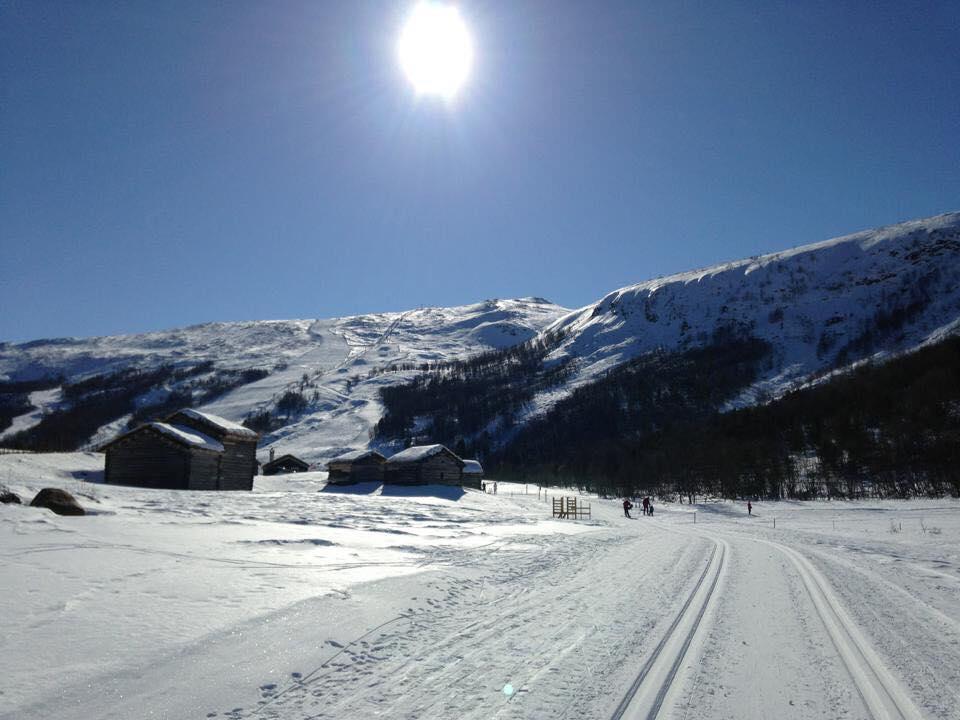 Lemonsjoen-Jotunheimen-Besseggen Villa Stuttgongfossen Exteriör bild