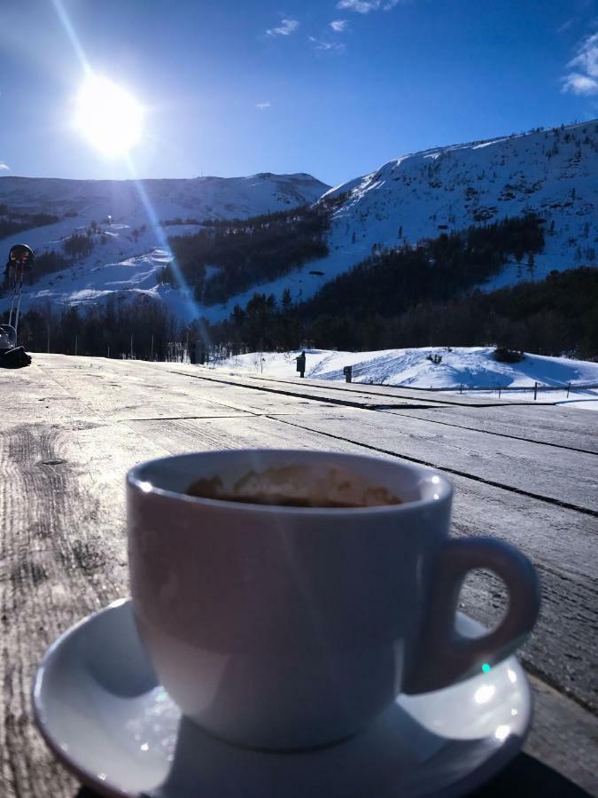 Lemonsjoen-Jotunheimen-Besseggen Villa Stuttgongfossen Exteriör bild